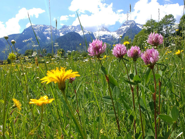 Restaurant Mühlpointhof in Lofer