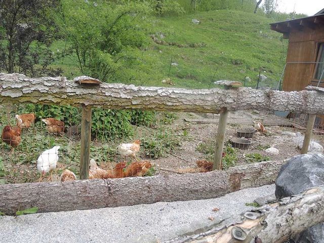 Familienbauernhof Bairauhof